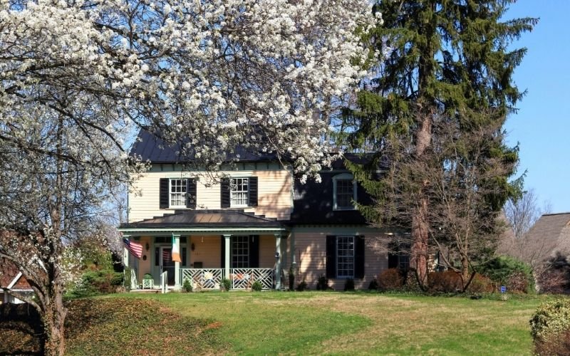 BEYOND THE TRANSACTION